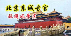狠插骚逼视频中国北京-东城古宫旅游风景区